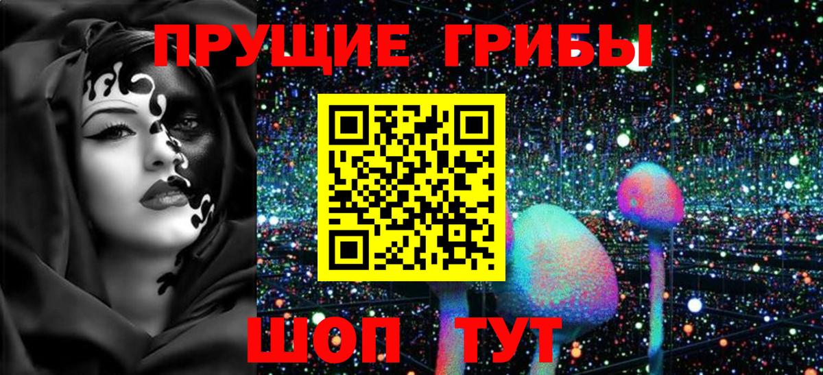 Псилоцибиновые грибы мицелий Кашира