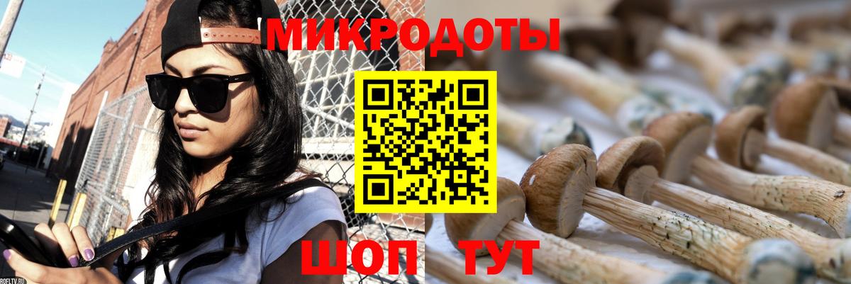 Кашира  Псилоцибиновые грибы Magic Shrooms  магазин    Вход с VPN  Псилоцибиновые грибы мицелий 